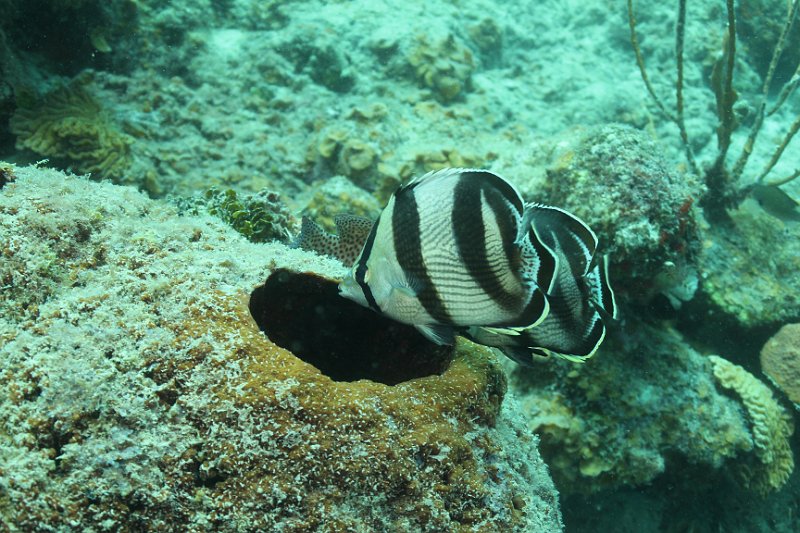 Curacao 04-12 107.JPG